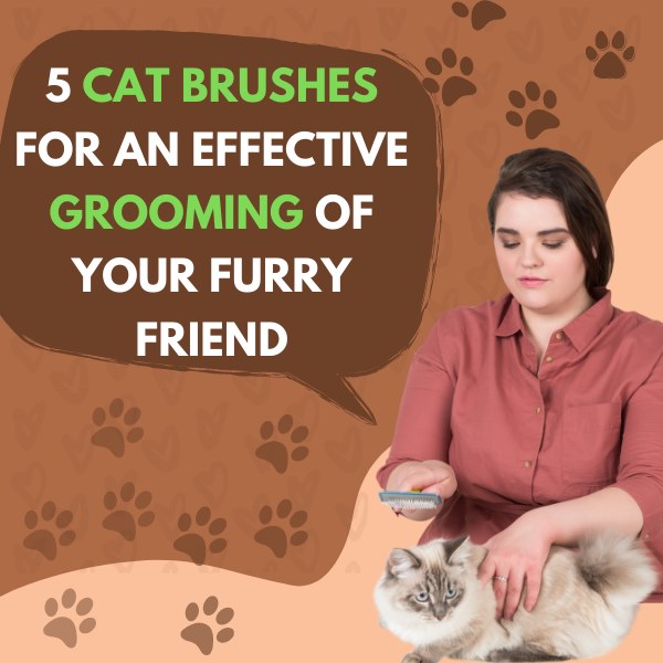 5 cat brushes for an effective grooming of your furry friend