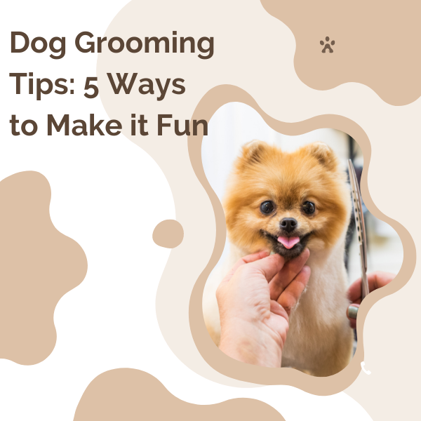 Dog Grooming Tips: 5 Ways to Make It Fun