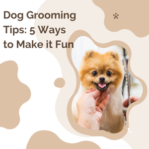Dog Grooming Tips: 5 Ways to Make It Fun