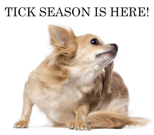 Tick Season Is Here!