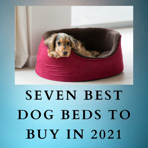 Seven Best Dog Beds to Buy in 2021