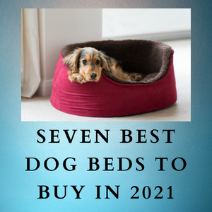 Seven Best Dog Beds To Buy in 2021