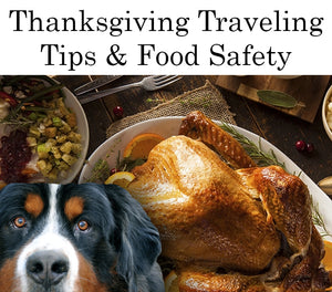 Thanksgiving Dog Traveling Tips & Food Safety