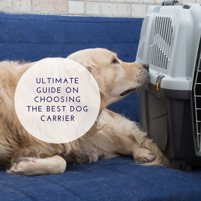 Ultimate Guide On Choosing The Best Dog Carrier