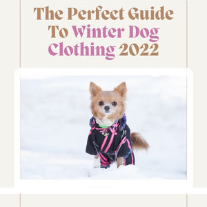 The Perfect Guide To Winter Dog Clothing 2022