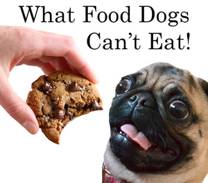 Food Dogs Can’t Eat