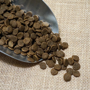 Exploring the Benefits of Organic Pet Food