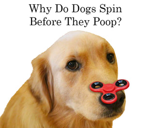 Why Do Dogs Spin Before They Poop?