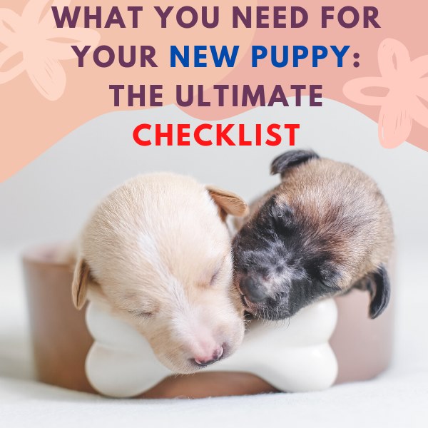 what you need for your new puppy: the ultimate checklist