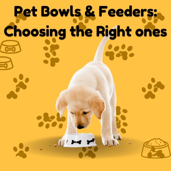 Pet Bowls & Feeders: Choosing the Right Ones