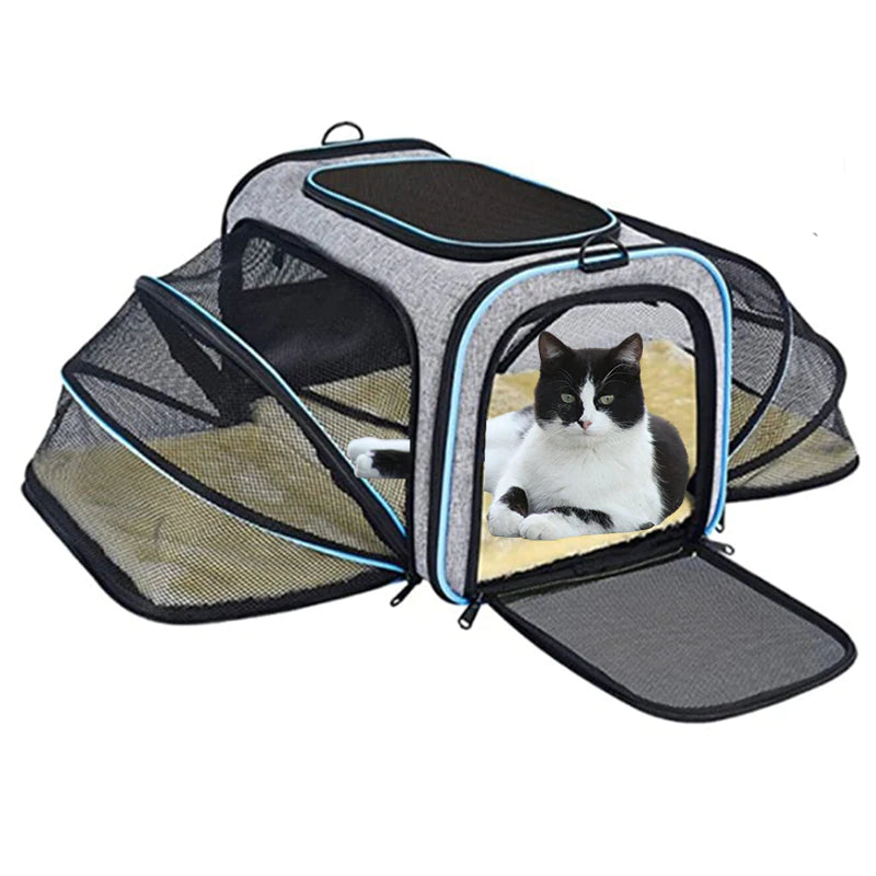 How to choose the right pet carrier for your pet