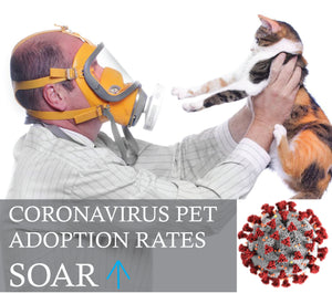 Tremendous Spike in Pet Adoption Rates amid Coronavirus Pandemic