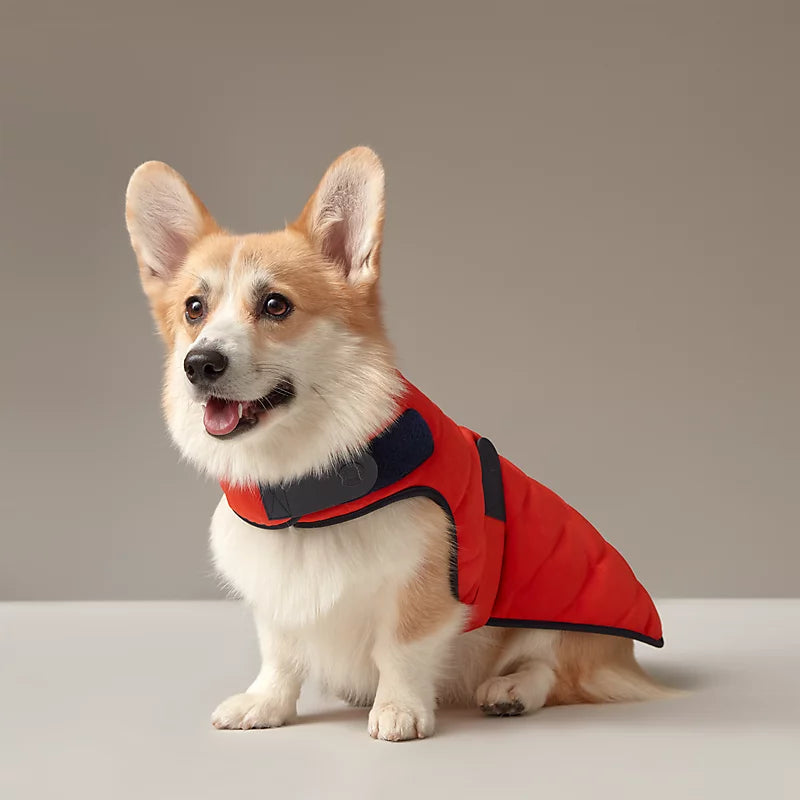 Petlife dog jacket 