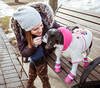 Why are Shoes for Dogs so essential?