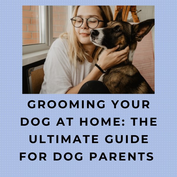 Grooming your dog at home: The Ultimate guide for dog parents