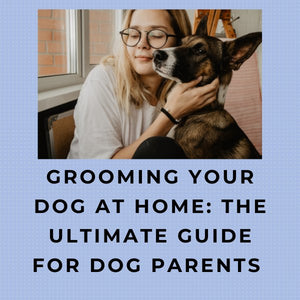 Grooming Your Dog at Home: The Ultimate Guide for Dog Parents