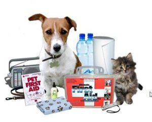 Emergency Preparedness for Pets