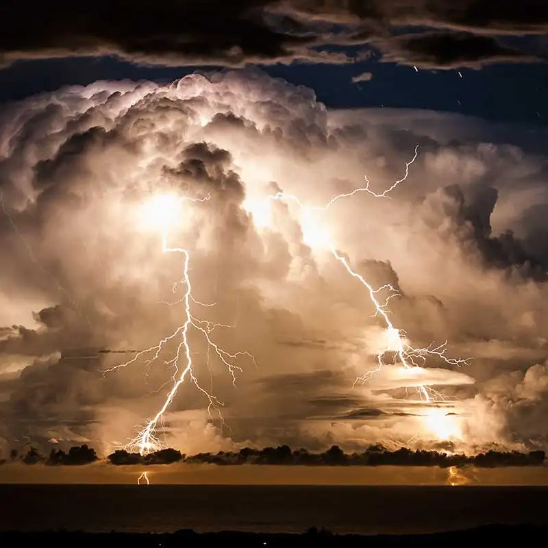 dog thunderstorms 