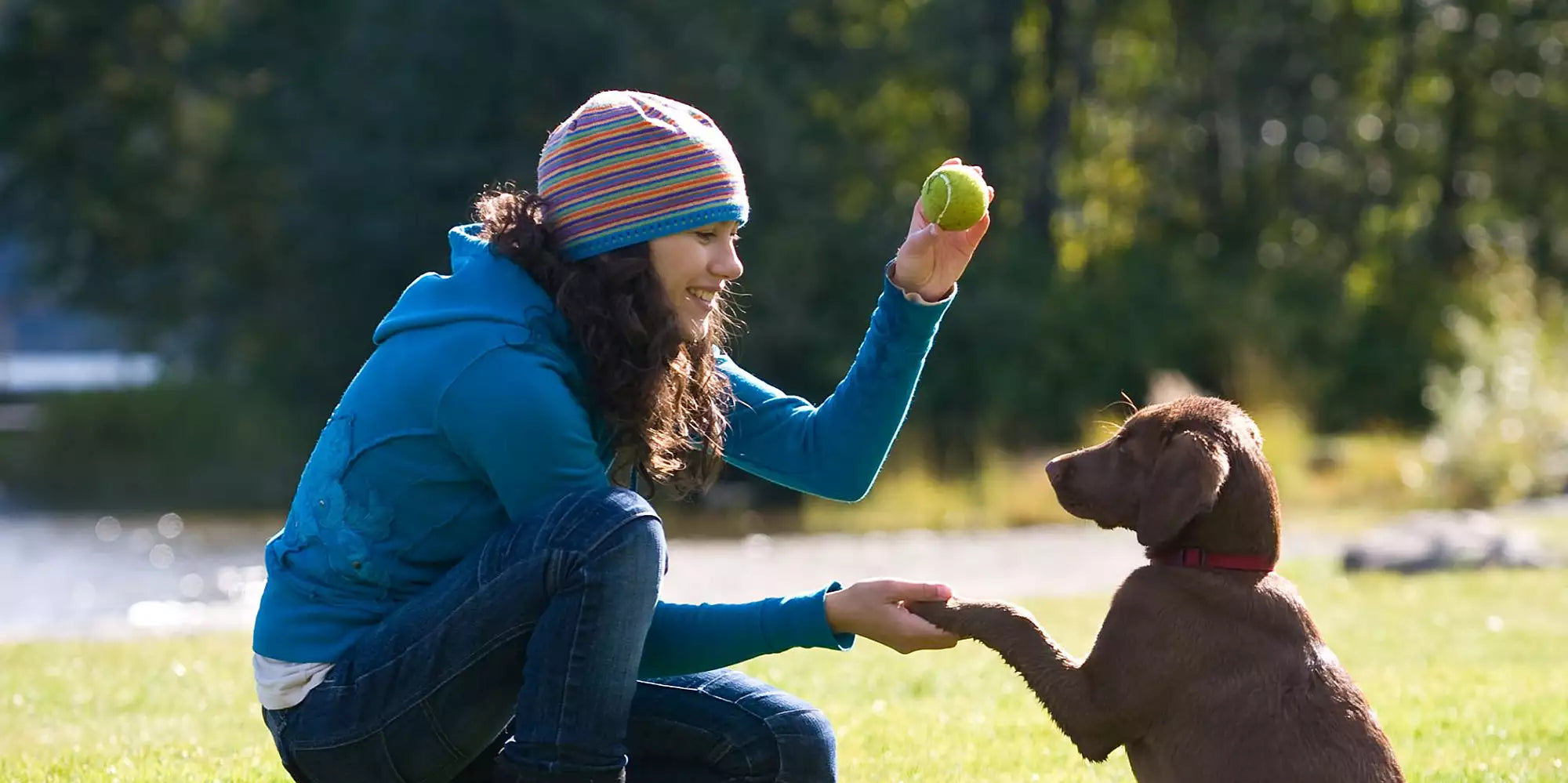 pet training tips