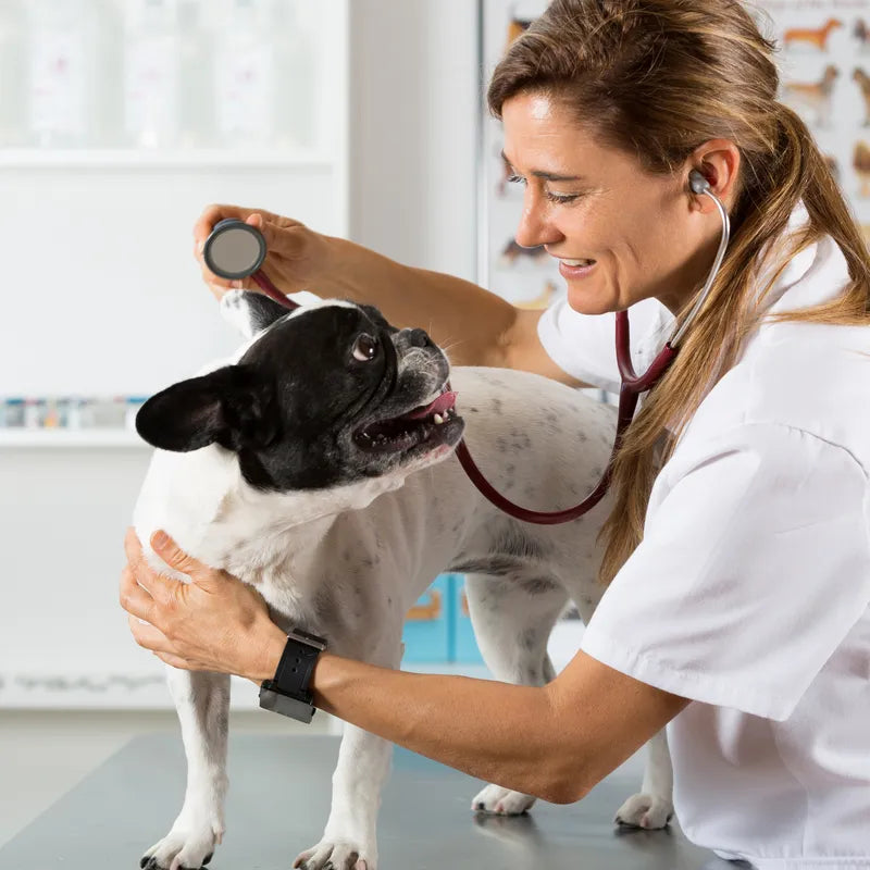 pet health