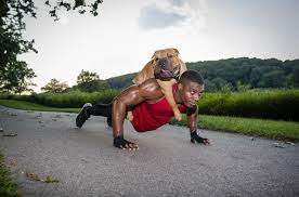 Best ways to exercise with your pet