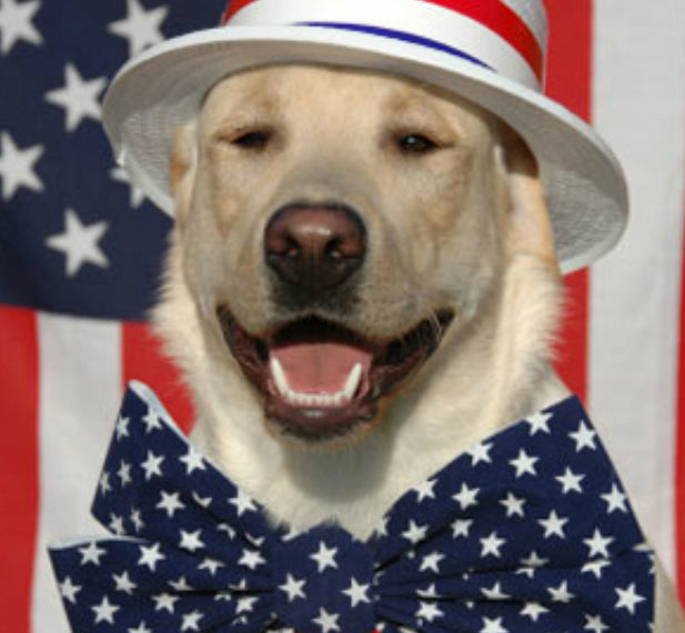 presidental dogs