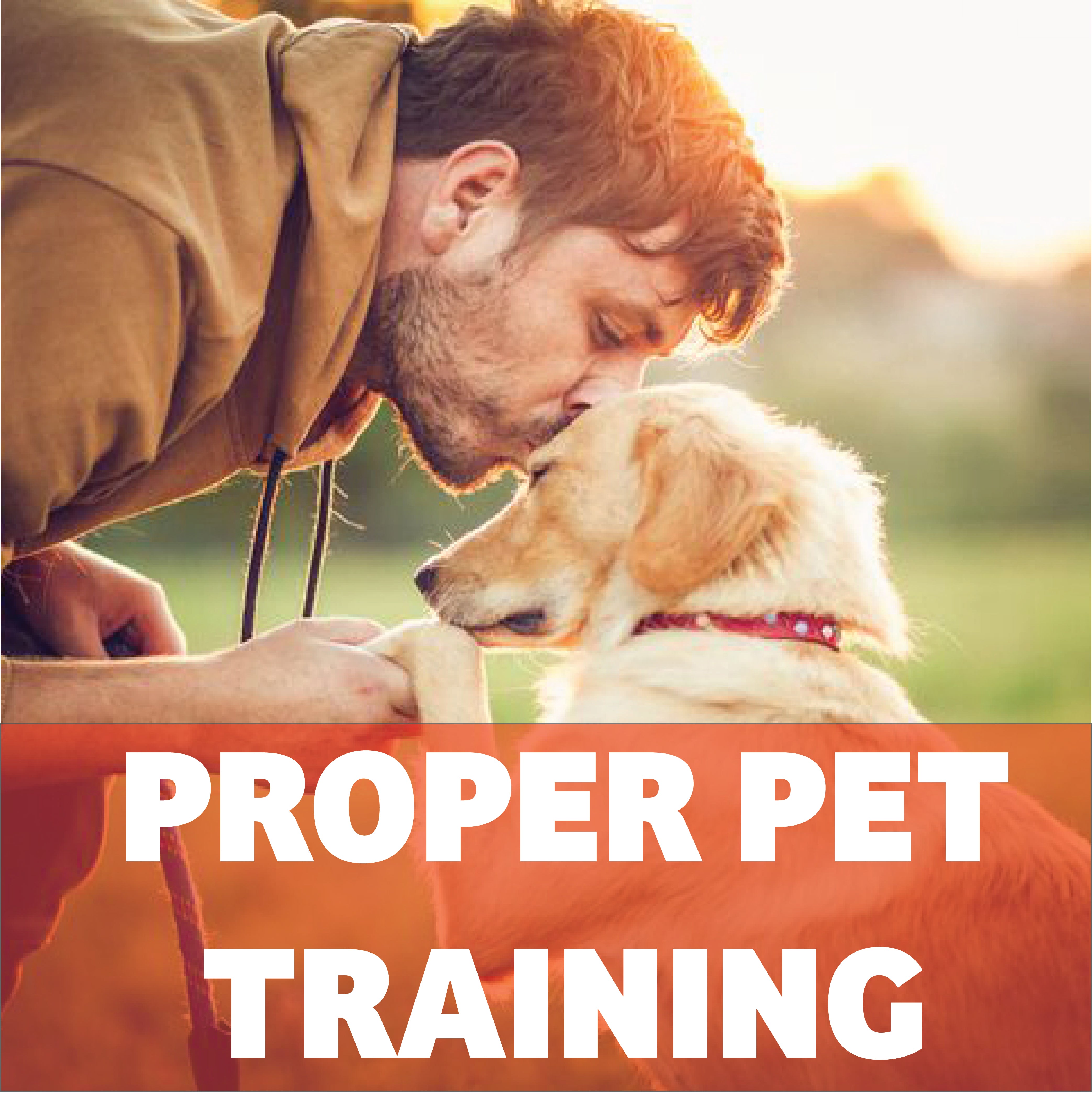 proper dog training