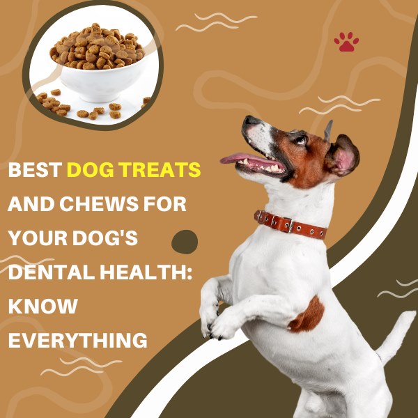 best dog treats and chews for your dog's dental health: know everything