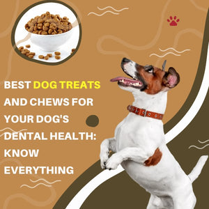 Best Dog Treats And Chews For Your Dog's Dental Health: Know Everything!