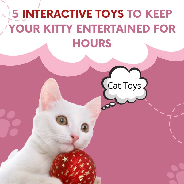 5 interactive toys to keep your kitty entertained for hours