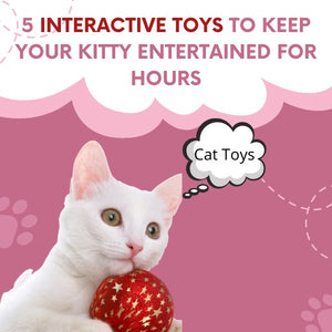 5 Interactive Toys To Keep Your Kitty Entertained For Hours