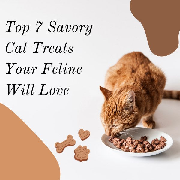 top 7 savory cat treats your feline will love