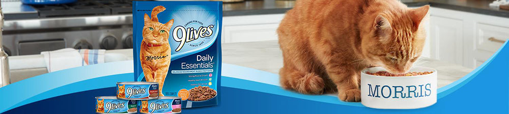 9lives cat food