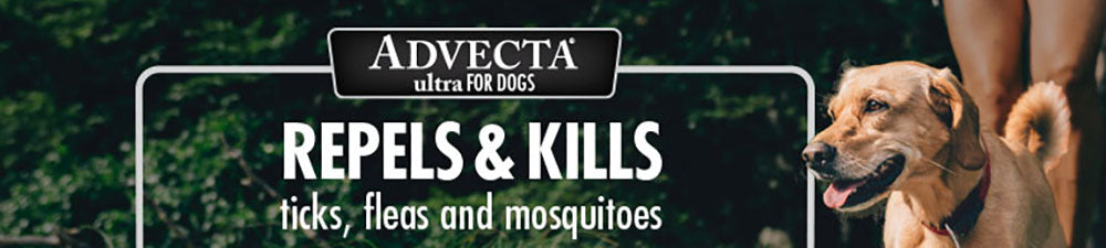 Advecta Flea and Tick