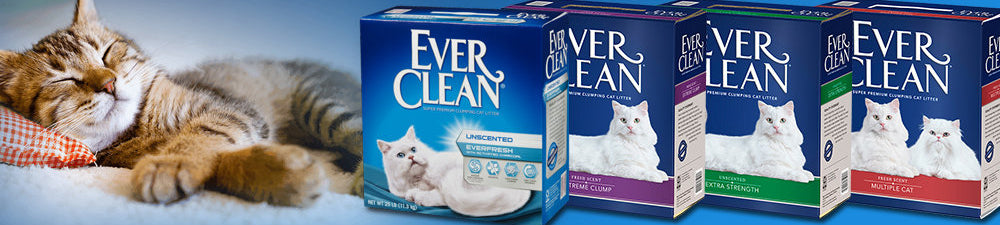 Everclean