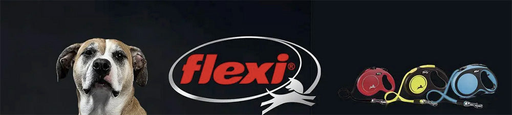 Flexi Dog Leash