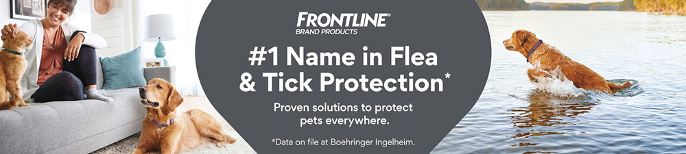 Frontline Flea and Tick