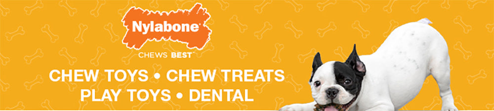 Nylabone Chews and Toys