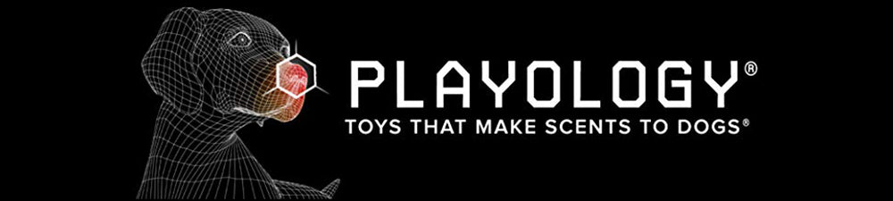 Playlogy Scented Dog Toys