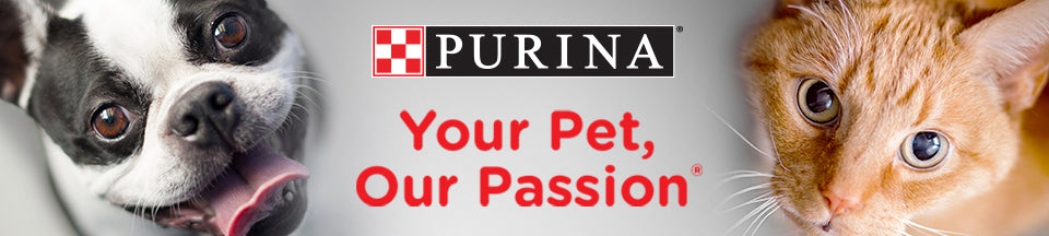 Purina Dog and Cat Food