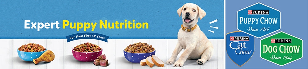 Purina dog chow