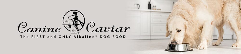 Canine Caviar