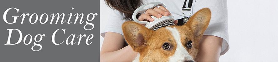 dog grooming tools and accessories