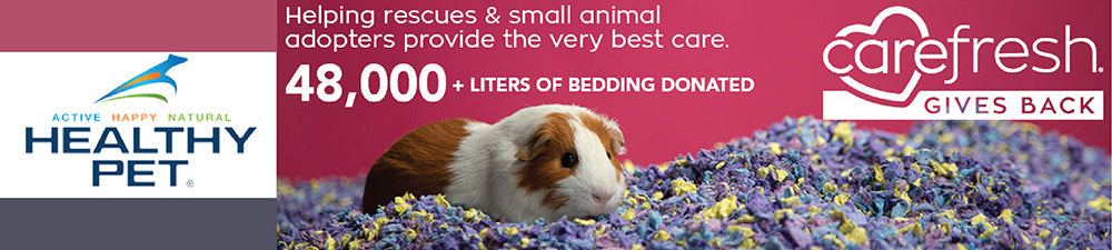 healthy pet bedding