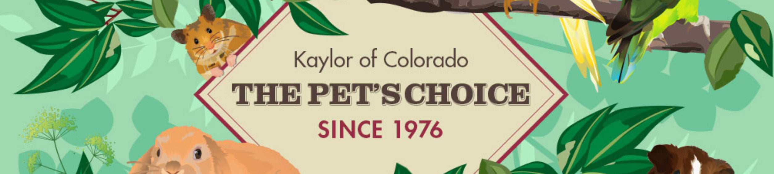 kaylor of colorado