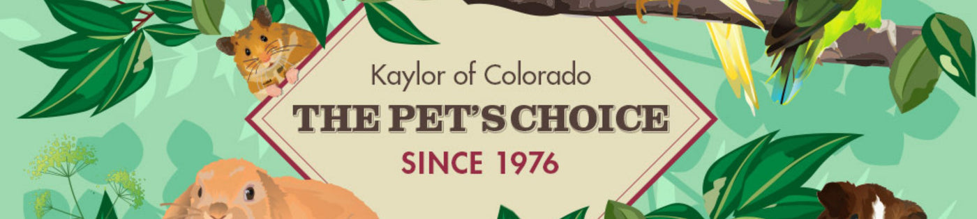 Kaylor of Colorado