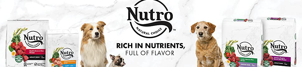 nutro pet food