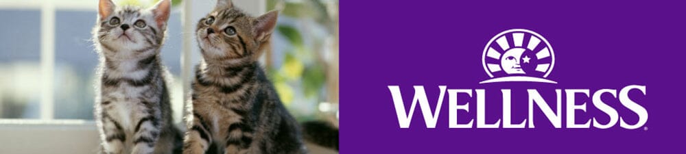 Wellness Cat Food
