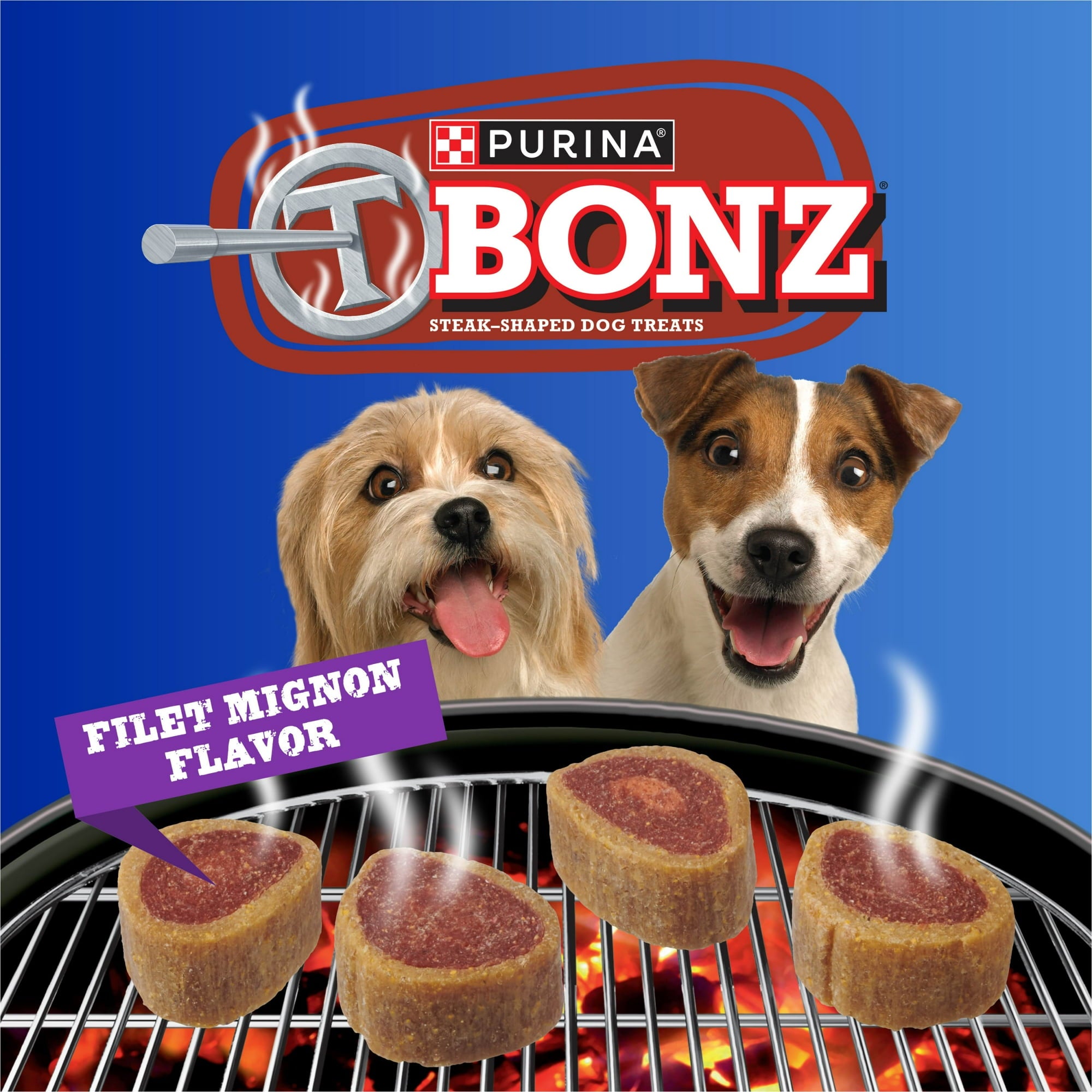 Purina T-Bonz Filet Mignon Flavored Steak Shaped Soft and Chewy Dog Treats - 4 Oz - Case of 8