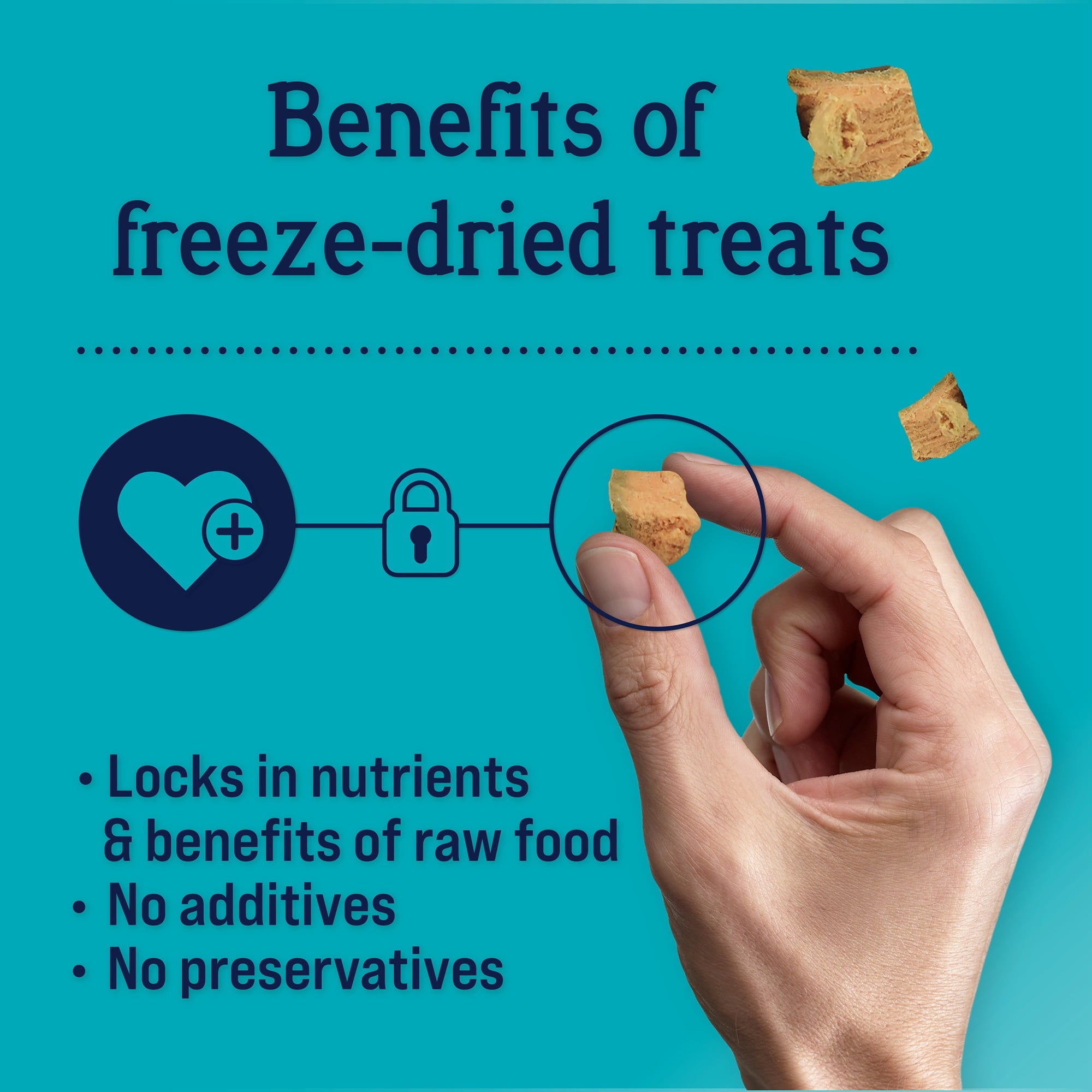 Stewart Single Ingredient Grain-Free Wild Salmon Freeze-Dried Dog Treats or Food Topper